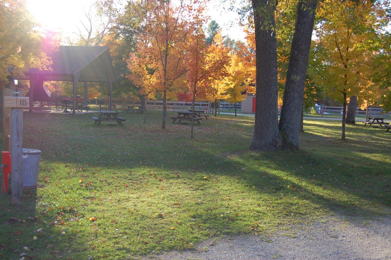 Cadillac campground Manistee Irons michigan camping tent rv camper.jpg